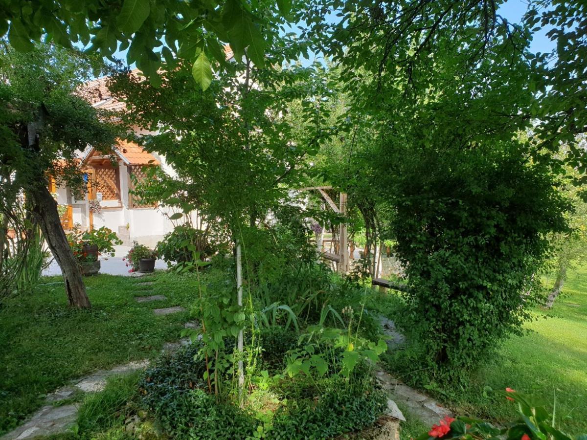 Apartment Liso Selište Drežničko Buitenkant foto
