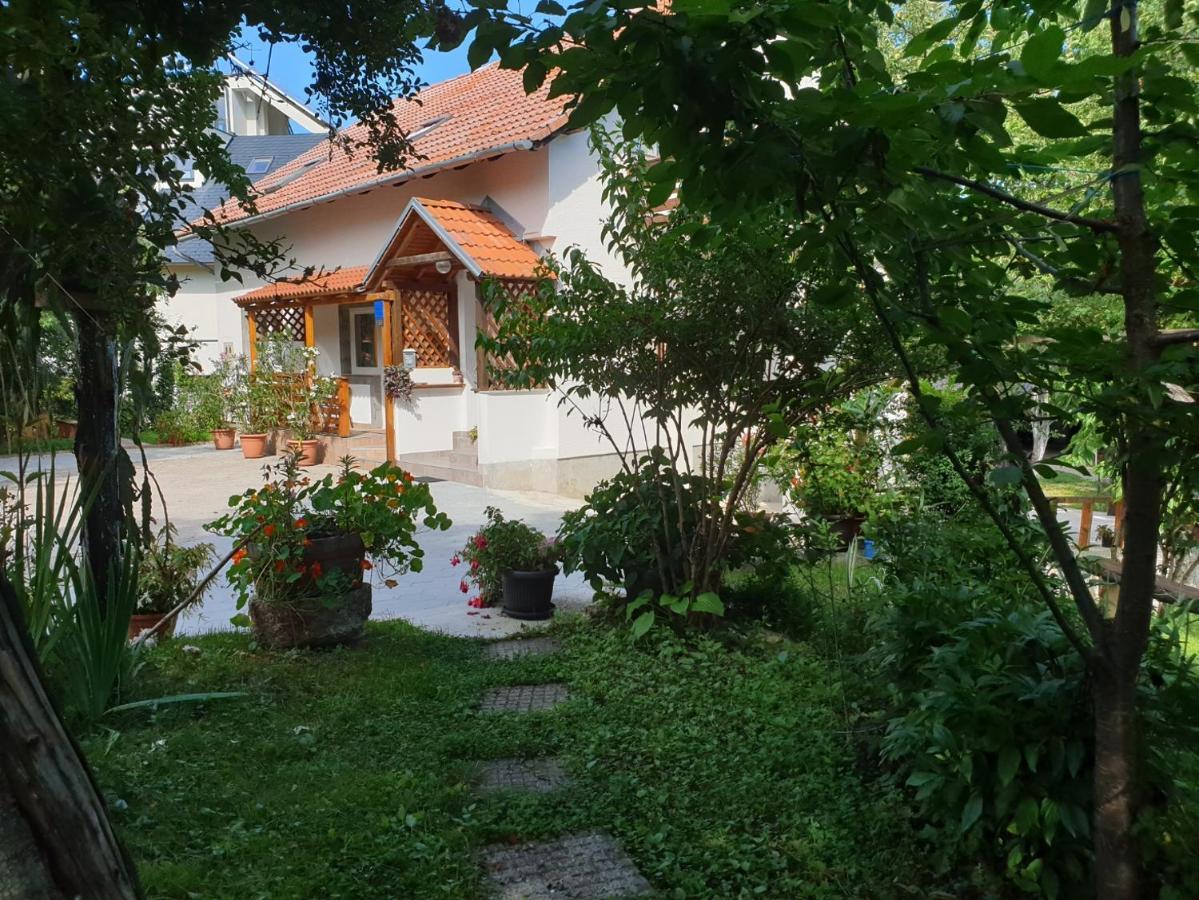 Apartment Liso Selište Drežničko Buitenkant foto