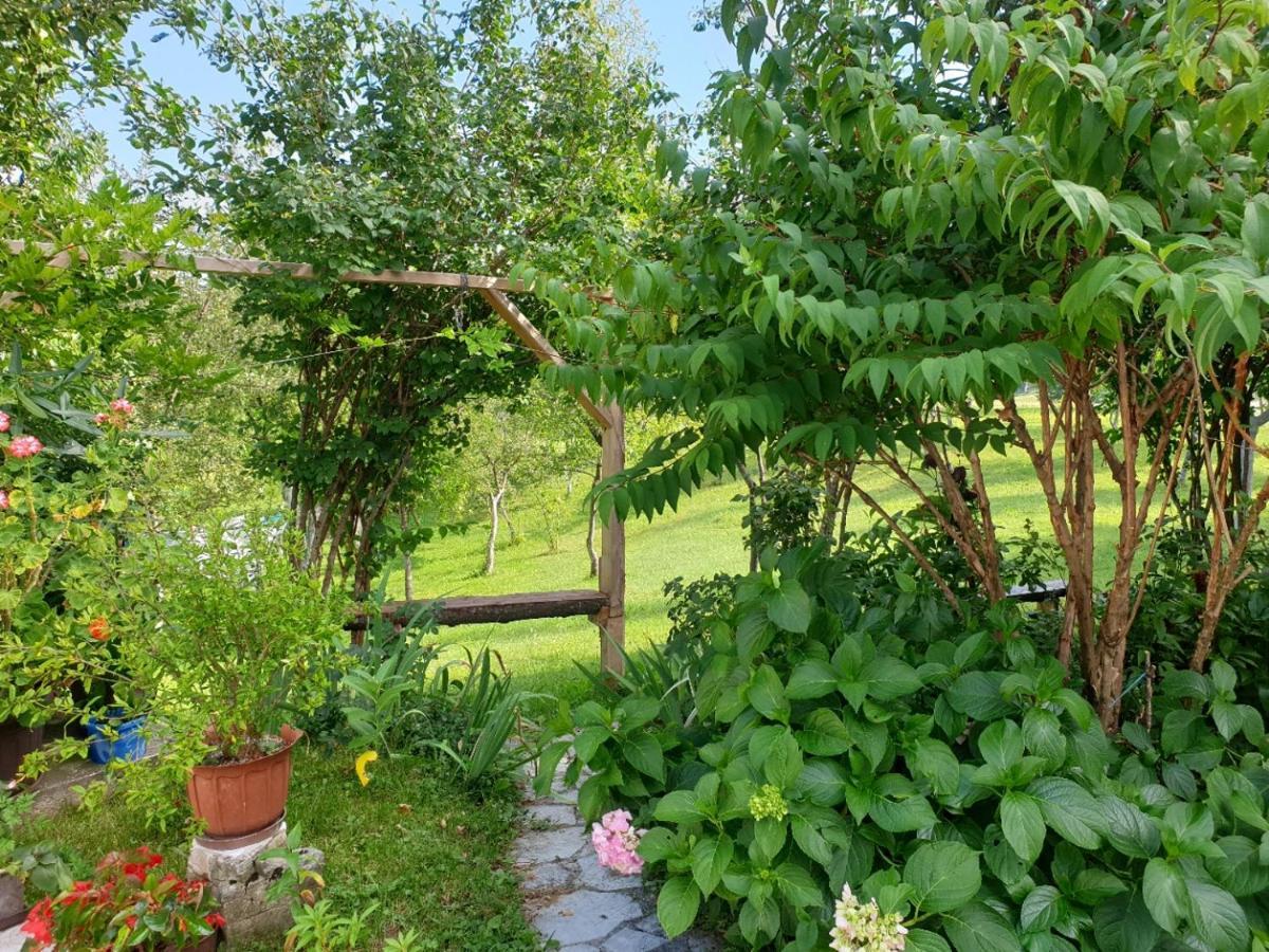 Apartment Liso Selište Drežničko Buitenkant foto