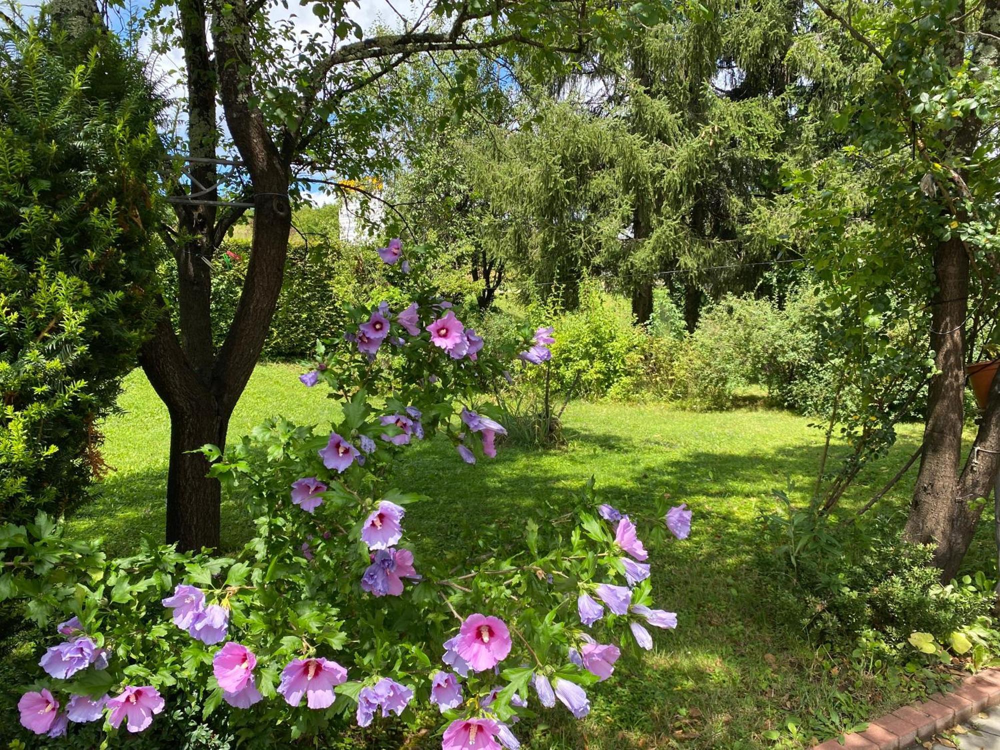 Apartment Liso Selište Drežničko Buitenkant foto
