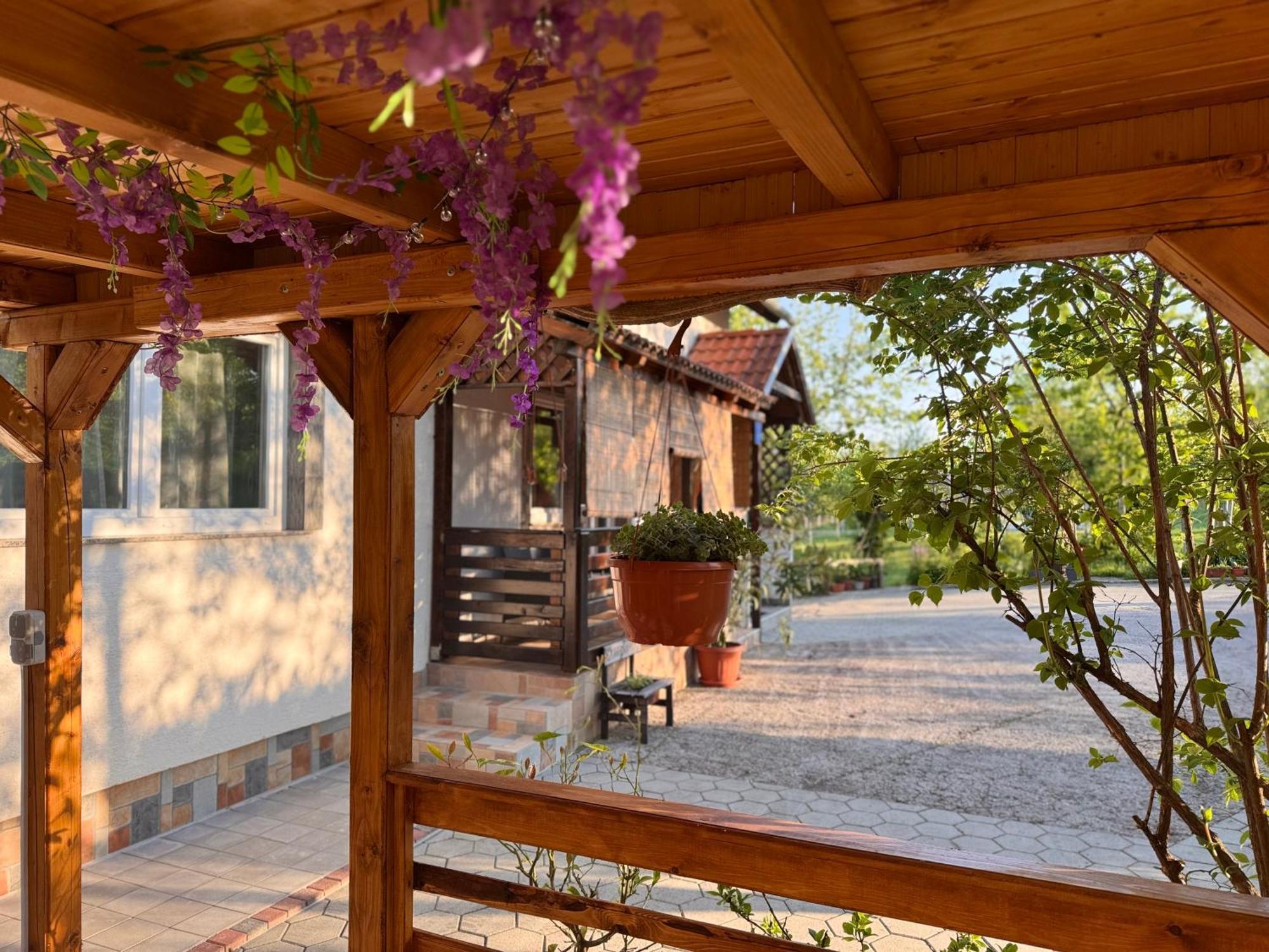 Apartment Liso Selište Drežničko Buitenkant foto
