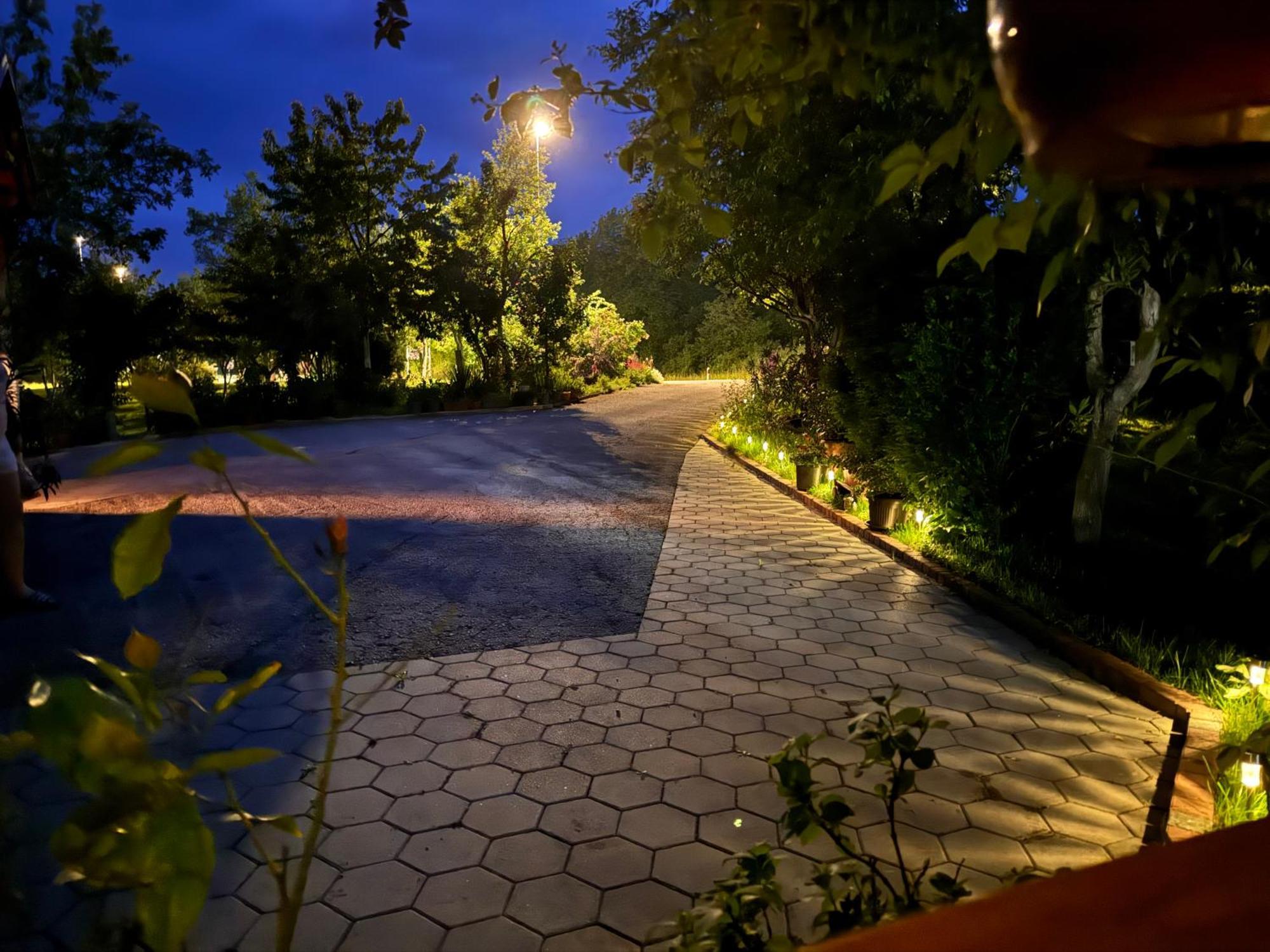 Apartment Liso Selište Drežničko Buitenkant foto