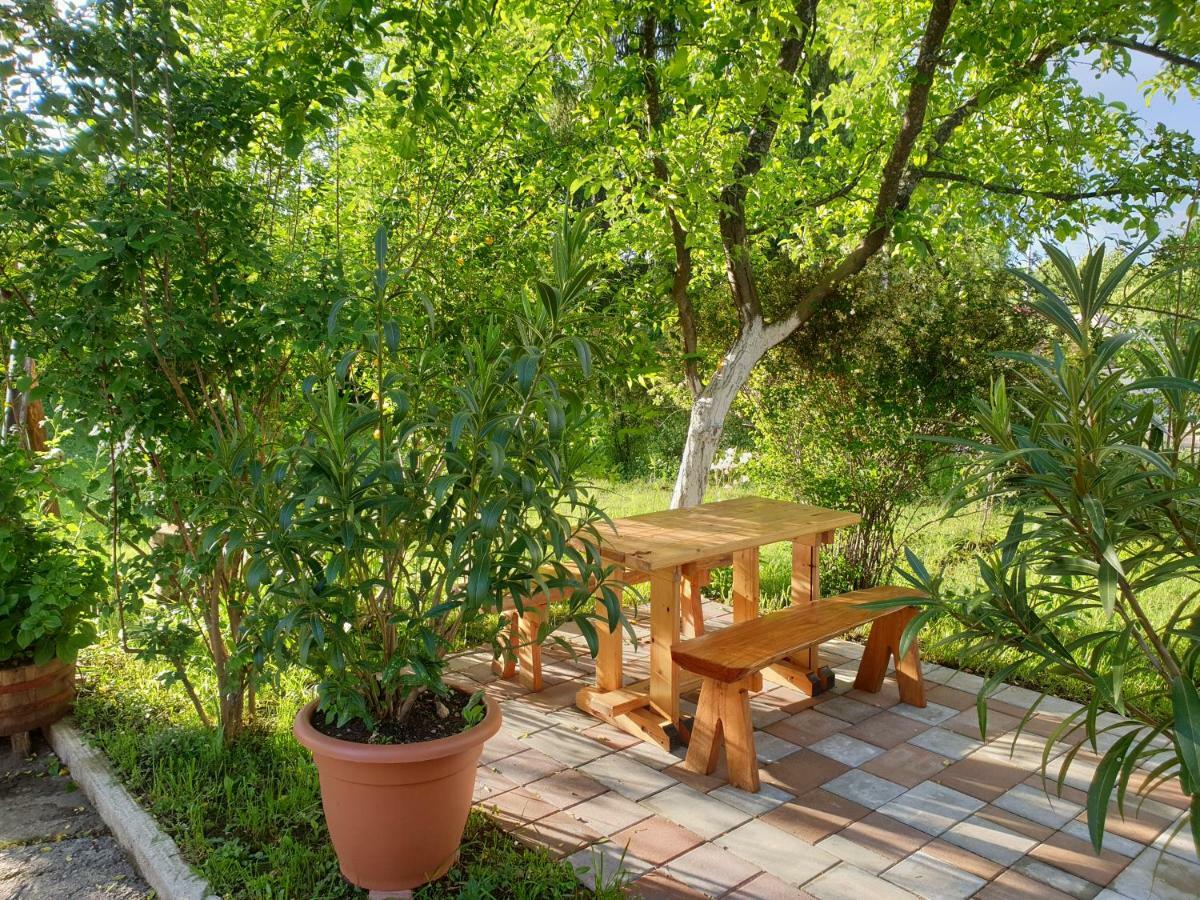 Apartment Liso Selište Drežničko Buitenkant foto