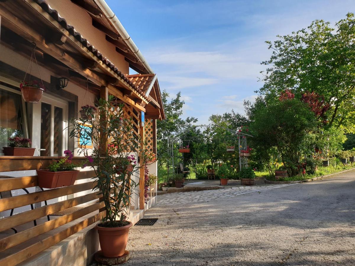 Apartment Liso Selište Drežničko Buitenkant foto